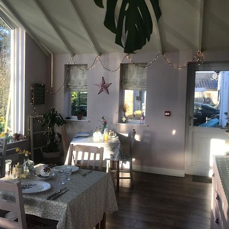Netherdene Country House Bed & Breakfast 트라우트벡 외부 사진