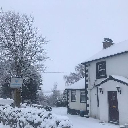 Netherdene Country House Bed & Breakfast 트라우트벡 외부 사진