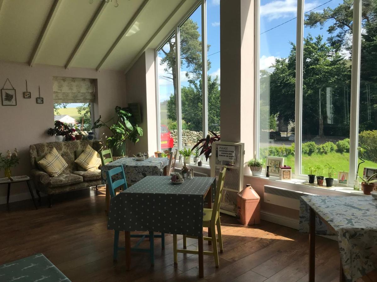 Netherdene Country House Bed & Breakfast 트라우트벡 외부 사진