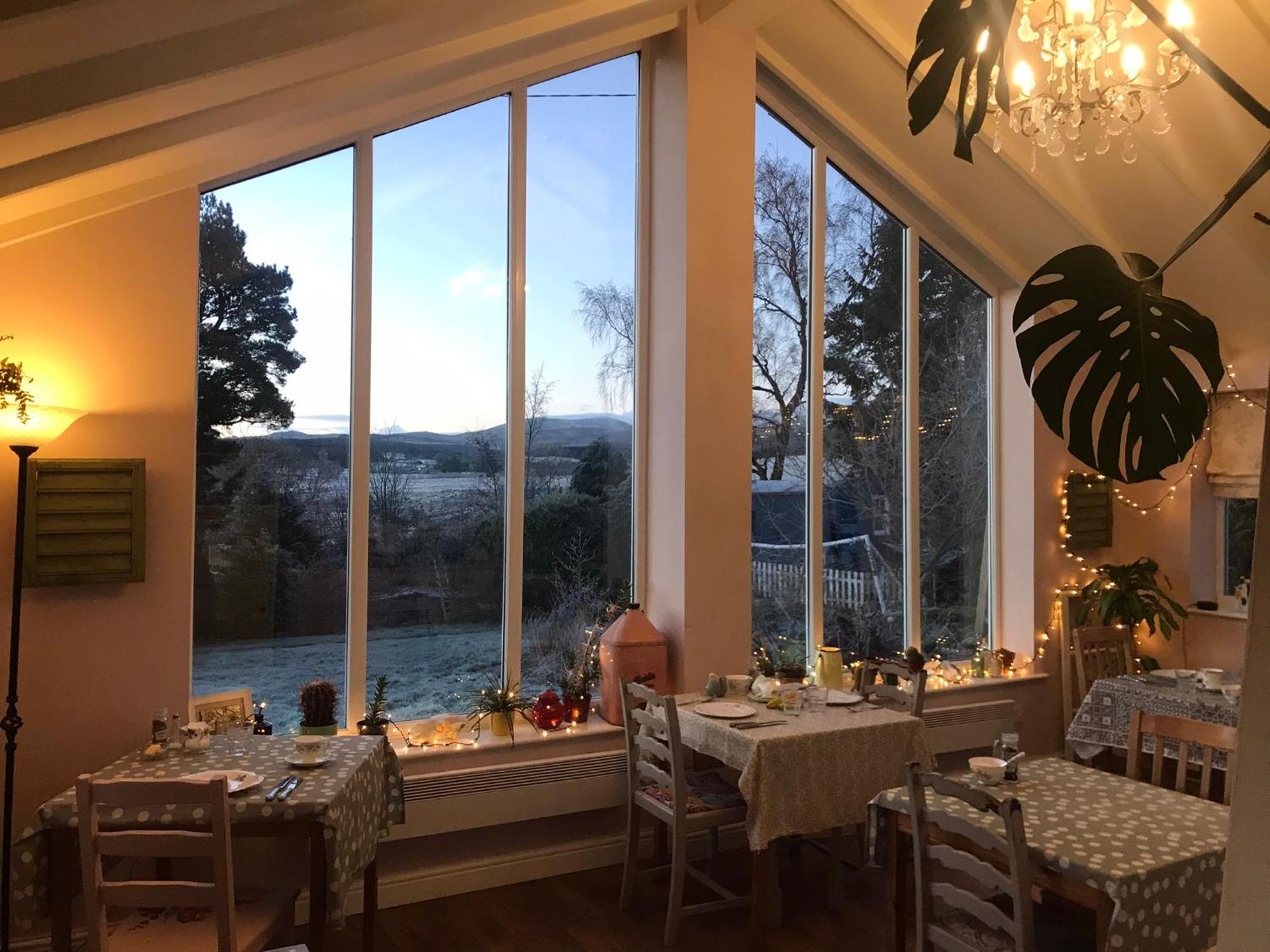 Netherdene Country House Bed & Breakfast 트라우트벡 외부 사진